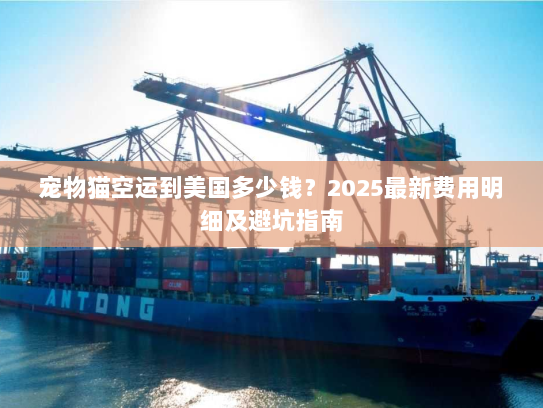 宠物猫空运到美国多少钱？2025最新费用明细及避坑指南