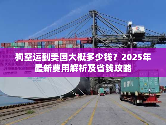 狗空运到美国大概多少钱？2025年最新费用解析及省钱攻略