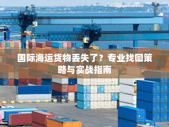 国际海运货物丢失了？专业找回策略与实战指南