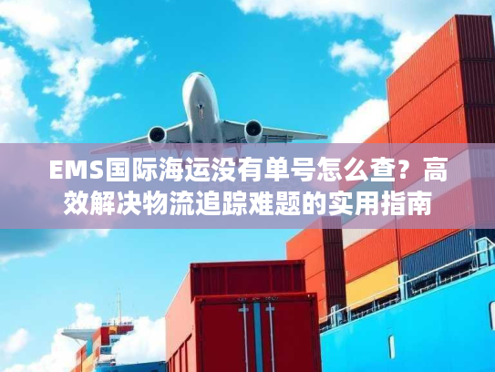 EMS国际海运没有单号怎么查？高效解决物流追踪难题的实用指南