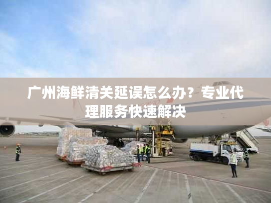 广州海鲜清关延误怎么办？专业代理服务快速解决