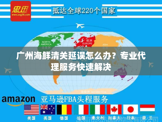 广州海鲜清关延误怎么办？专业代理服务快速解决