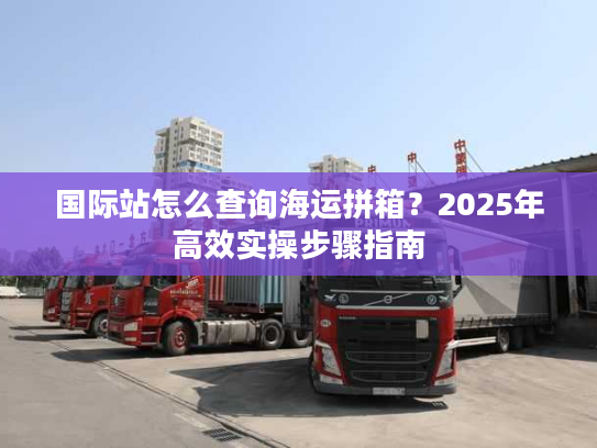国际站怎么查询海运拼箱？2025年高效实操步骤指南