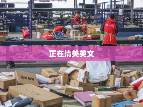 正在清关英文