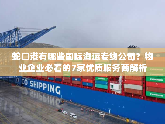 蛇口港有哪些国际海运专线公司？物业企业必看的7家优质服务商解析