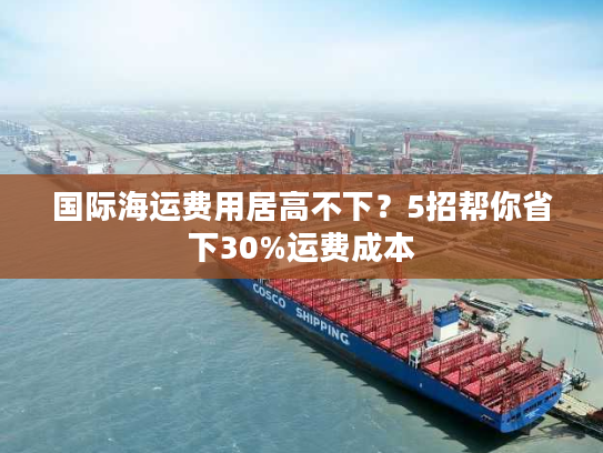国际海运费用居高不下?5招帮你省下30%运费成本 国际海运费用居高不下?5招帮你省下30%运费成本