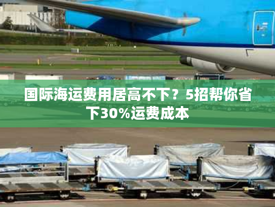 国际海运费用居高不下?5招帮你省下30%运费成本 国际海运费用居高不下?5招帮你省下30%运费成本