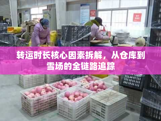 转运时长核心因素拆解，从仓库到雪场的全链路追踪