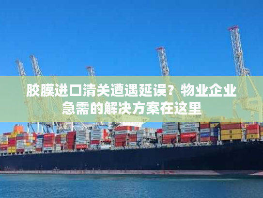 胶膜进口清关遭遇延误？物业企业急需的解决方案在这里