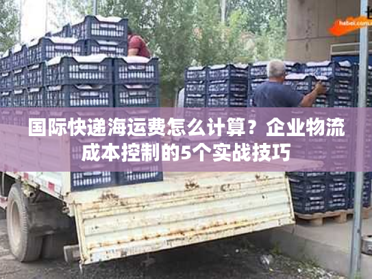 国际快递海运费怎么计算？企业物流成本控制的5个实战技巧