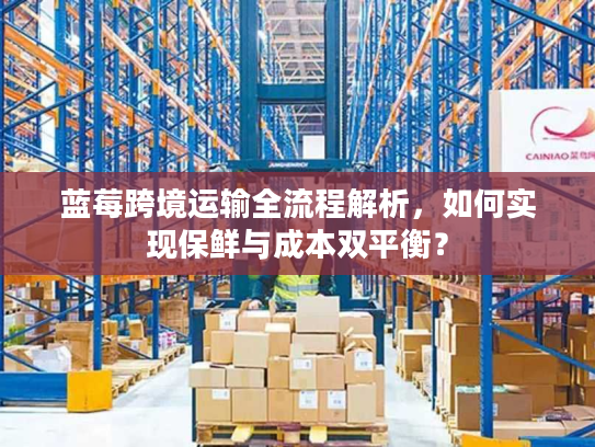 蓝莓跨境运输全流程解析，如何实现保鲜与成本双平衡？