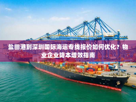 盐田港到深圳国际海运专线报价如何优化？物业企业降本增效指南