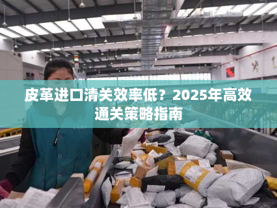 皮革进口清关效率低？2025年高效通关策略指南