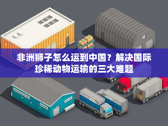 非洲狮子怎么运到中国？解决国际珍稀动物运输的三大难题