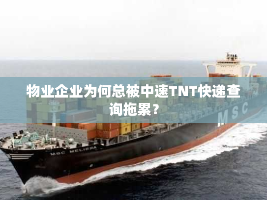 物业企业为何总被中速TNT快递查询拖累？