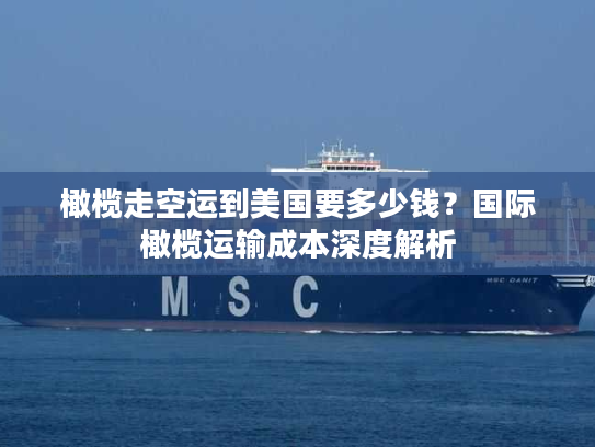 橄榄走空运到美国要多少钱？国际橄榄运输成本深度解析