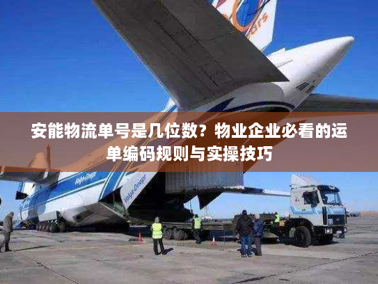 安能物流单号是几位数?物业企业必看的运单编码规则与实操技巧 安能物流单号是几位数?物业企业必看的运单编码规则与实操技巧