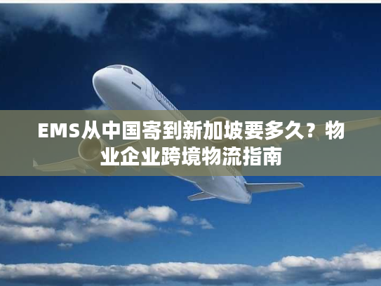 EMS从中国寄到新加坡要多久？物业企业跨境物流指南