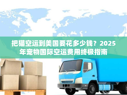 把猫空运到美国要花多少钱？2025年宠物国际空运费用终极指南