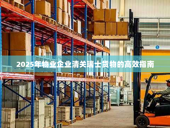 2025年物业企业清关瑞士货物的高效指南