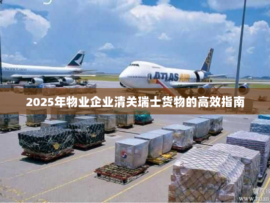 2025年物业企业清关瑞士货物的高效指南