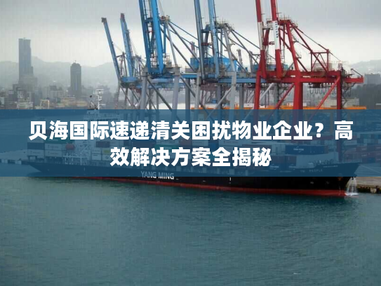 贝海国际速递清关困扰物业企业？高效解决方案全揭秘