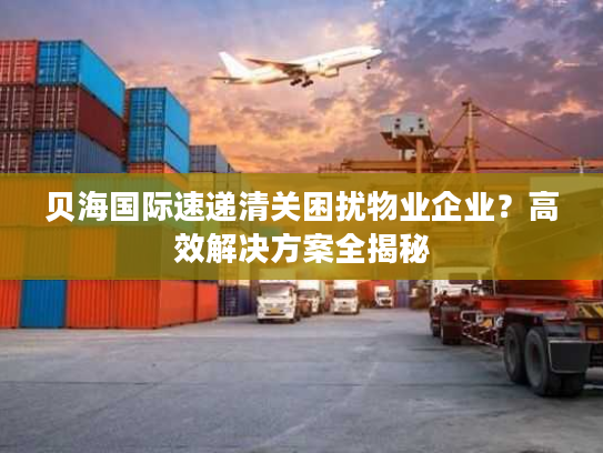 贝海国际速递清关困扰物业企业？高效解决方案全揭秘