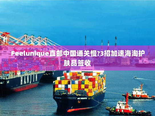 Feelunique直邮中国通关慢?3招加速海淘护肤品签收 Feelunique直邮中国通关慢?3招加速海淘护肤品签收