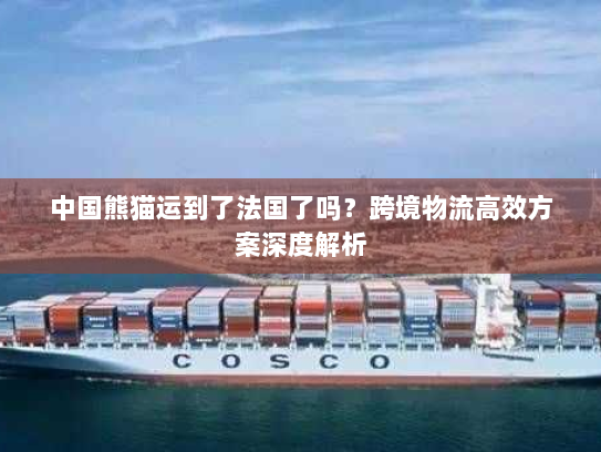 中国熊猫运到了法国了吗？跨境物流高效方案深度解析