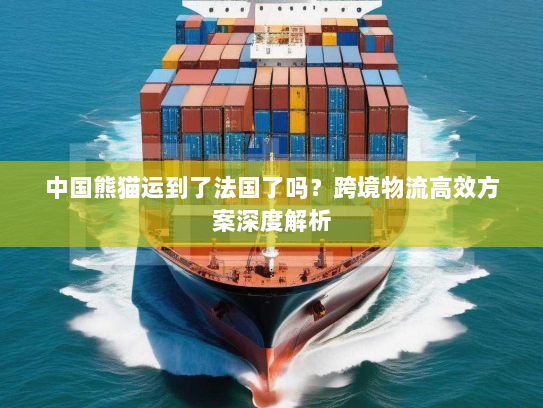 中国熊猫运到了法国了吗？跨境物流高效方案深度解析