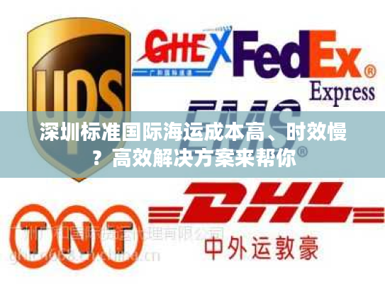 深圳标准国际海运成本高、时效慢？高效解决方案来帮你