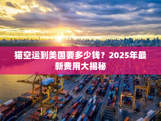 猫空运到美国要多少钱？2025年最新费用大揭秘