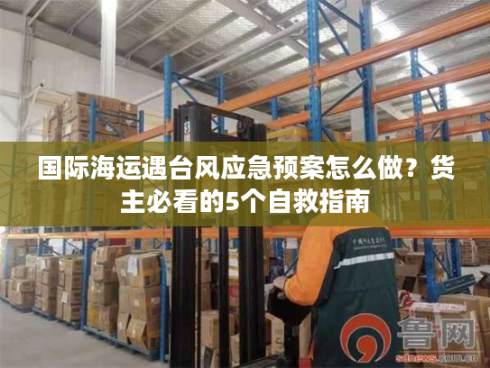 国际海运遇台风应急预案怎么做？货主必看的5个自救指南