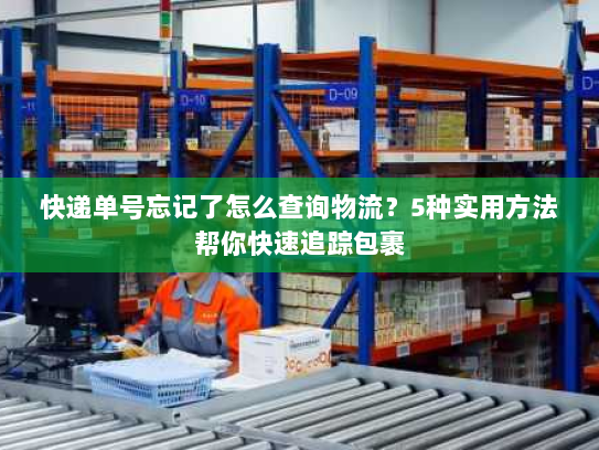 快递单号忘记了怎么查询物流？5种实用方法帮你快速追踪包裹
