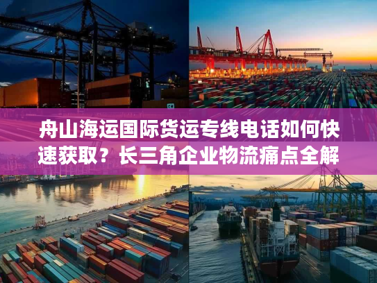 舟山海运国际货运专线电话如何快速获取？长三角企业物流痛点全解析