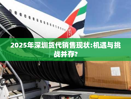 2025年深圳货代销售现状:机遇与挑战并存?