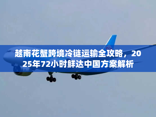 越南花蟹跨境冷链运输全攻略，2025年72小时鲜达中国方案解析