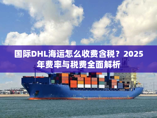 国际DHL海运怎么收费含税？2025年费率与税费全面解析
