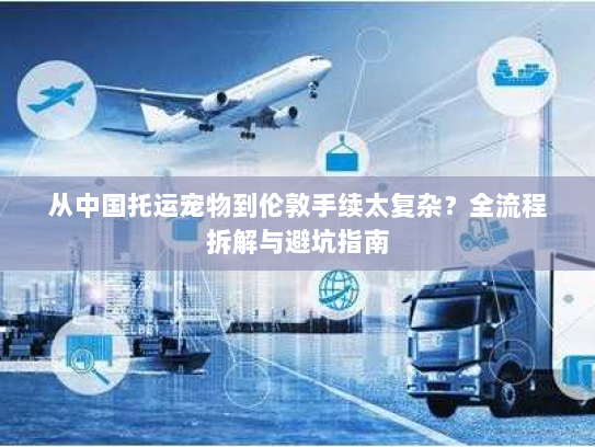 从中国托运宠物到伦敦手续太复杂?全流程拆解与避坑指南 从中国托运宠物到伦敦手续太复杂?全流程拆解与避坑指南