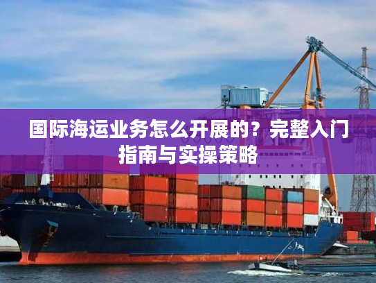 国际海运业务怎么开展的？完整入门指南与实操策略