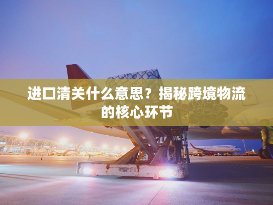 进口清关什么意思?揭秘跨境物流的核心环节 进口清关什么意思?揭秘跨境物流的核心环节
