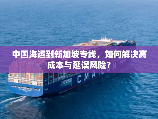 中国海运到新加坡专线,如何解决高成本与延误风险? 中国海运到新加坡专线,如何解决高成本与延误风险?