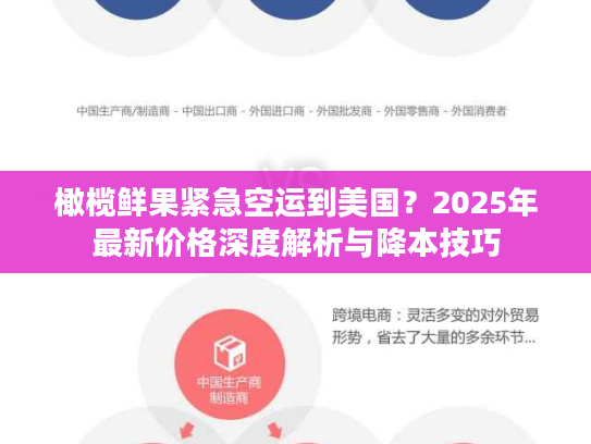 橄榄鲜果紧急空运到美国？2025年最新价格深度解析与降本技巧