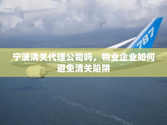 宁波清关代理公司吗，物业企业如何避免清关陷阱