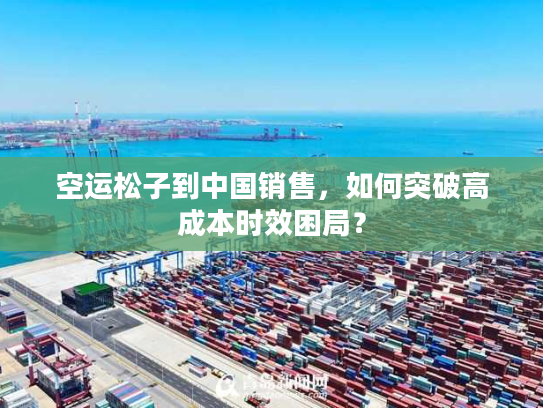 空运松子到中国销售,如何突破高成本时效困局? 空运松子到中国销售,如何突破高成本时效困局?