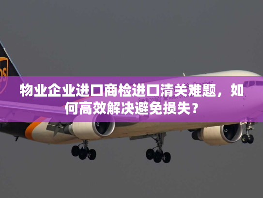 物业企业进口商检进口清关难题，如何高效解决避免损失？