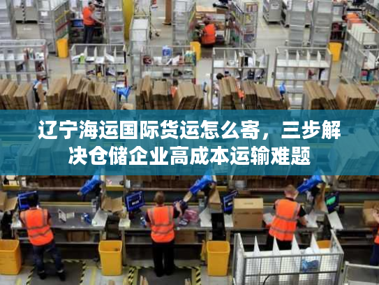 辽宁海运国际货运怎么寄，三步解决仓储企业高成本运输难题
