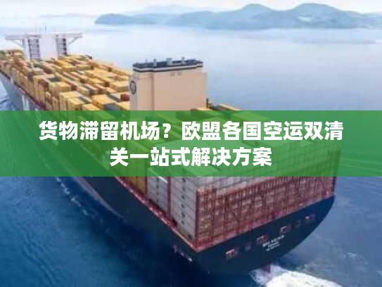 货物滞留机场?欧盟各国空运双清关一站式解决方案 货物滞留机场?欧盟各国空运双清关一站式解决方案