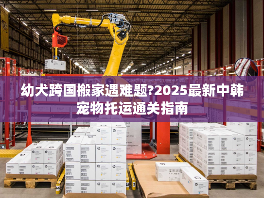 幼犬跨国搬家遇难题?2025最新中韩宠物托运通关指南