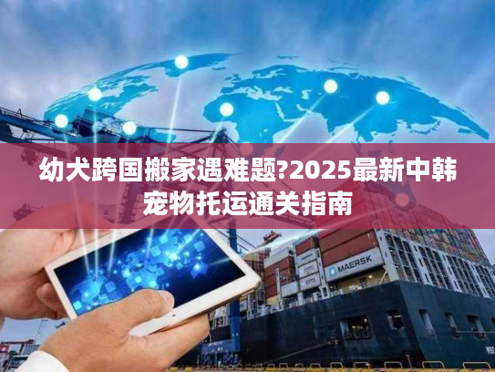 幼犬跨国搬家遇难题?2025最新中韩宠物托运通关指南